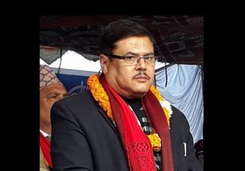 स्वास्थ्य विभागको महानिर्देशकमा डा.पन्त