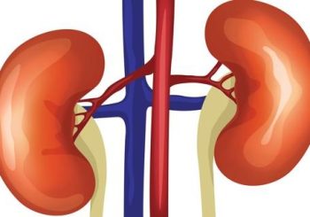 रुपन्देहीका अधिकांश किसानमा मिर्गौलाको समस्या