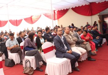 मधुमेह जोखिम सम्बन्धि अन्तरक्रिया