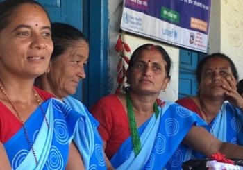 महिला स्वास्थ्य स्वयं सेविका दिवस मनाइदै