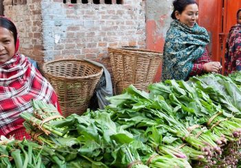 सागपात बेचेर चाउचाउ किन्ने बानी छोडौ  