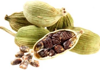 ल्वाङमा कामोत्तेजक गुण