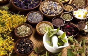 पित्त पत्थरको उपचारमा आयुर्वेद प्रभावकारी