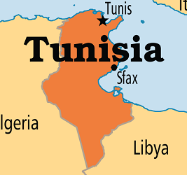 उपचारका क्रममा शिशुको मृत्यु भएपछि ट्युनिसियाका स्वास्थ्यमन्त्रीले दिए राजीनामा