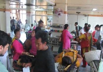 धरानमा डेंगु संक्रमितको संख्या बढ्नेक्रम जारी, २६ दिनमा ३१४ जना संक्रमित