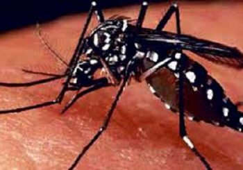 डेंगु ज्वरोको प्रकोप नियन्त्रण बाहिरः केन्द्रबाट पठाईयो सात सय किट