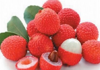 लिचीः मुटुको समस्या, मधुमेह, मृगौला र क्यान्सर रोगविरुद्ध प्रभावकारी