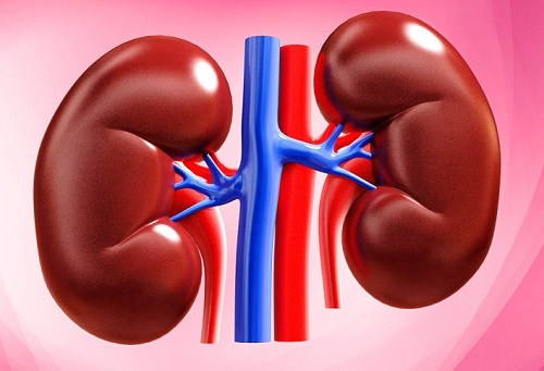 यी घरेलु उपाय, जसले मिर्गौलाको पत्थरीबाट बचाउन सहयोग गर्छ….